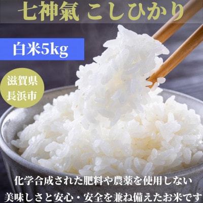 【滋賀県長浜市】七神氣 こしひかり 白米 5kg