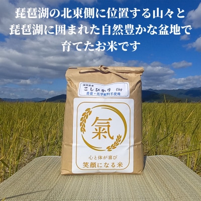 【滋賀県長浜市】七神氣 こしひかり 白米 5kg