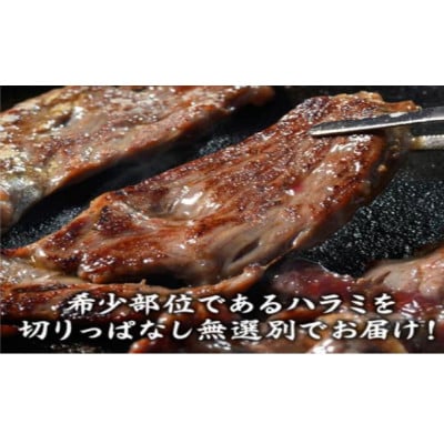 【訳あり】ステーキ宮味付け牛ハラミ2.7kgと宮のタレ18個セット