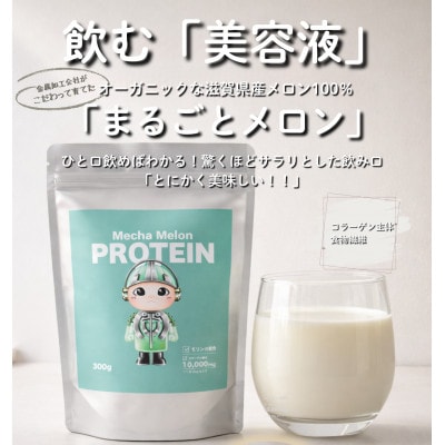 Mecha Melon プロテイン(メカメロンプロテイン)