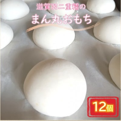 滋賀羽二重糯のまん丸おもち 12個