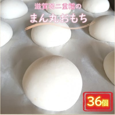 滋賀羽二重糯のまん丸おもち 36個