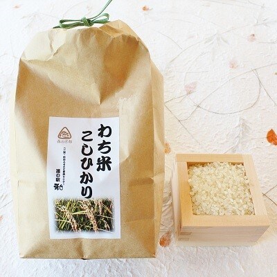 具がたっぷりの手作り特製はたけしめじカレーとビーフカレー・地元産お米のセット