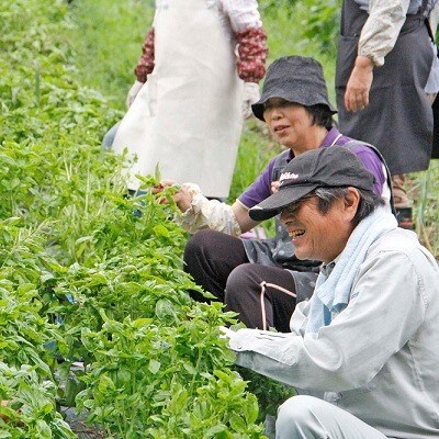 京丹波野菜と国産米油で作った京都丹波やさいおいる3本セット