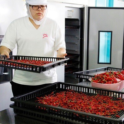 京丹波野菜と国産米油で作った京都丹波やさいおいる5本セット