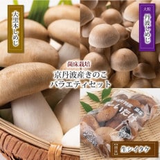 菌床で栽培した京丹波町産きのこバラエティセット | ふるさと納税のお礼品