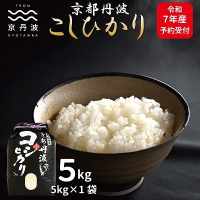 京丹波こしひかり 5kg 令和7年産 京都 精米 コシヒカリ