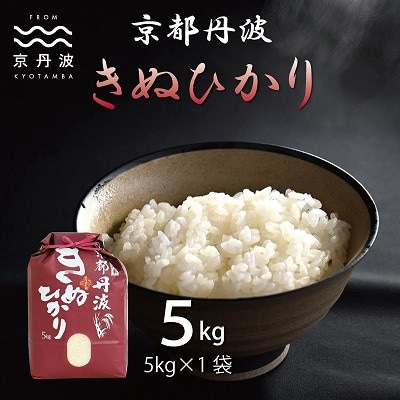 京丹波きぬひかり 5kg 令和7年産 京都 精米 キヌヒカリ