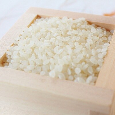 【2023年2月上旬発送】京丹波町産の「こしひかり」と「きぬひかり」食べ比べセット(各5kg)