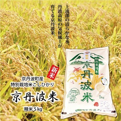 【2023年3月上旬発送】京丹波町産の特別栽培米こしひかり　令和4年産　5kg