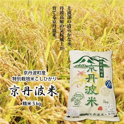 京丹波町産の特別栽培米こしひかり　令和5年産　5kg