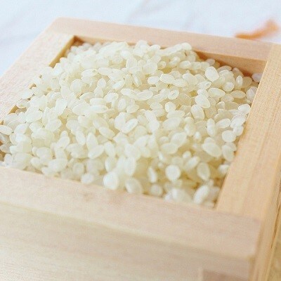 美しい環境で作られた「わち米」令和5年産5kg