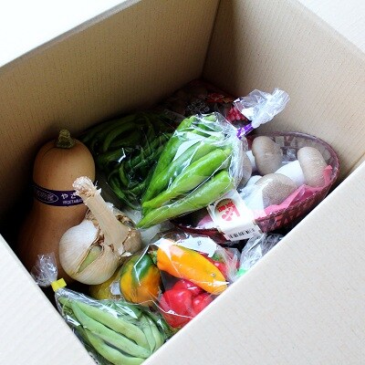 ≪数量限定≫新鮮冬野菜!京丹波の「丹波高原新鮮朝市」で目利きがセレクトしたお野菜詰め合わせセット