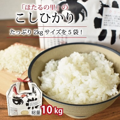 「京丹波ほたるの里」のこしひかり 令和4年産 2kg×5袋(総量10kg)