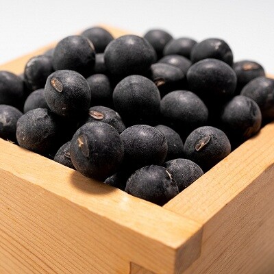 京丹波町和知地区の逸品黒大豆「和知黒」2Lサイズ　500g