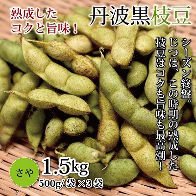 丹波黒枝豆 さや 1.5kg(京都・京丹波町産丹波黒大豆)≪秋だけの期間限定・数量限定≫