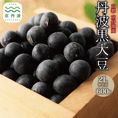 京丹波町産 丹波黒大豆 2L 600g(300g×2袋) 生豆