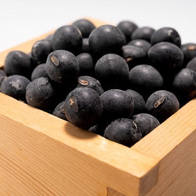 京丹波町産 丹波黒大豆 Lサイズ 600g(300g×2袋) 生豆