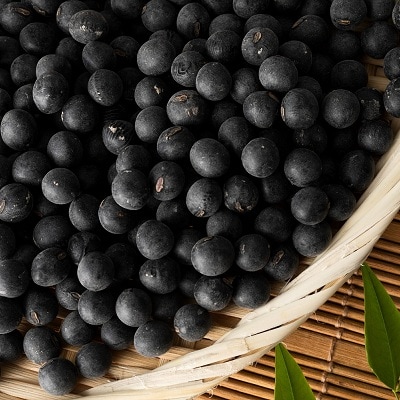 黒豆茶(ティーバッグ10g×15個入り)3袋セット≪丹波黒大豆使用≫