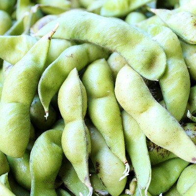 京丹波ほたるの里の 丹波黒枝豆 さや 1 2kg 限定50セット お礼品詳細 ふるさと納税なら さとふる