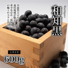 京都丹波の黒豆「和知黒」 Lサイズ 600g(生産地域限定 京都・京丹波町産 黒大豆)