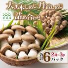 大黒本しめじ 丹波しめじ 詰め合わせ