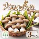 大黒本しめじ 大判 3パックセット