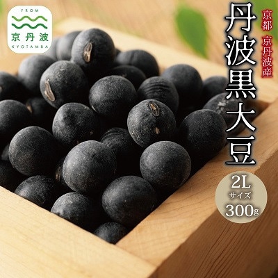 京丹波町産 丹波黒大豆 2L 300g 生豆