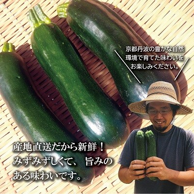 《予約受付》 京都 京丹波ズッキーニ 8本 約1.5kg