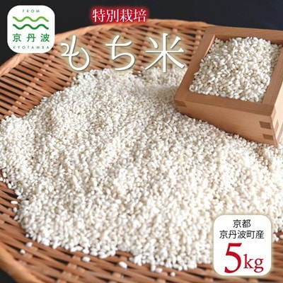 特別栽培 もち米 5kg