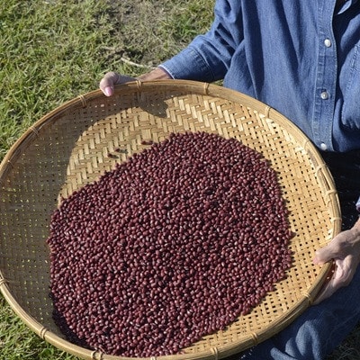 瑞穂大納言小豆 500g 京都 京丹波町産