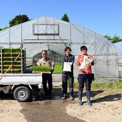 特別栽培米 こしひかり 京丹波米のごはん パックごはん 白米 150g×20個