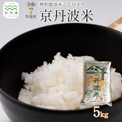 特別栽培米 こしひかり 京丹波町産 5kg 令和7年度産米