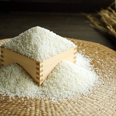 ≪先行予約≫きぬひかり 京丹波町産 5kg　令和8年産