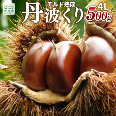チルド熟成 丹波栗4L 500g (京都京丹波町産 丹波栗)
