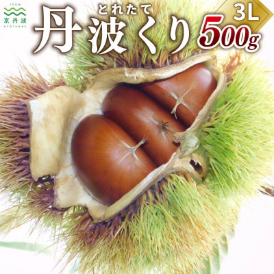 とれたて 丹波くり 3L 500g(京都 京丹波町産 生栗)