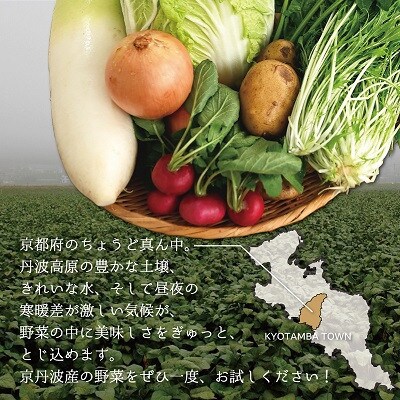 【毎月定期便】京丹波 旬菜セット スモール 6～8品目全3回