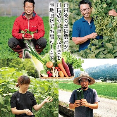 【毎月定期便】京丹波 旬菜セット スモール 6～8品目全6回