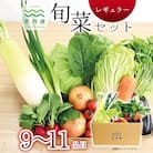 【毎月定期便】京丹波 旬菜セット レギュラー 9～11品目　全3回