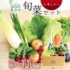 【毎月定期便】京丹波 旬菜セット レギュラー 9～11品目　野菜 野菜セット 野菜定期便　全12回