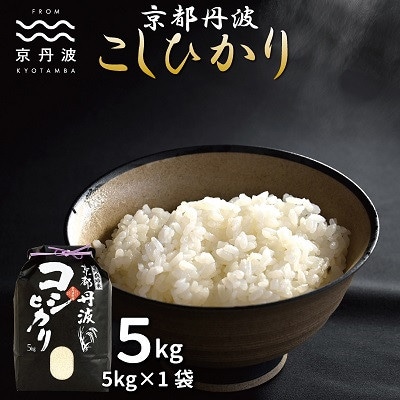 【毎月定期便】京丹波こしひかり5kg　京都　精米　コシヒカリ全6回
