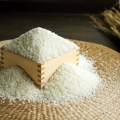 【発送月固定定期便】《 予約受付 》2026年10月発送開始 こしひかり 京丹波町産 5kg全3回