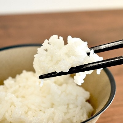 【発送月固定定期便】《 予約受付 》2026年10月発送開始 こしひかり 京丹波町産 5kg全3回