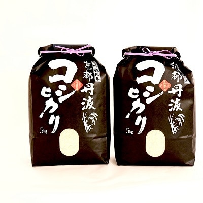 【毎月定期便】京丹波こしひかり10kg　京都　精米全6回