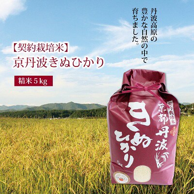 【2023年2月中旬発送】京丹波きぬひかり　令和4年産のお米5kg
