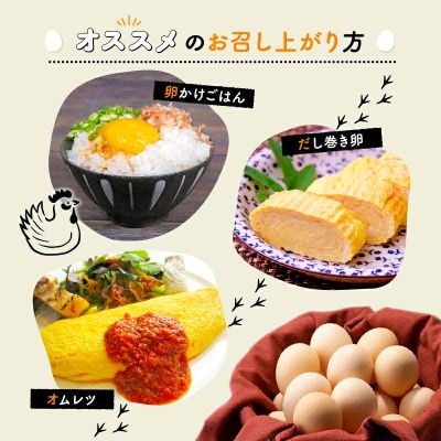 京都 こだわり卵 赤たまご 約5kg 80個(割れ保証10個含む)