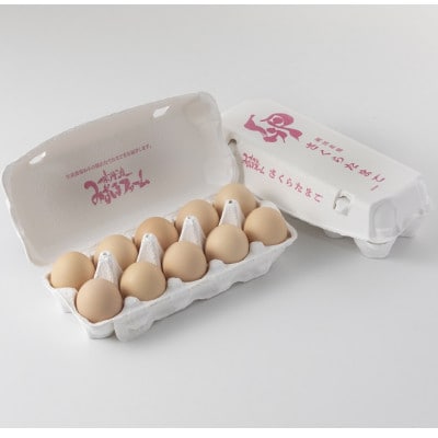京都 こだわり たまご さくらたまご 約80個 5kg