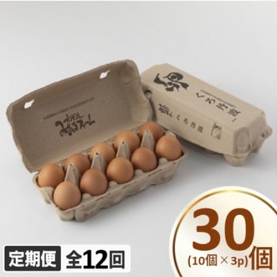 【毎月定期便】京丹波 こだわり たまご くろ丹波 30個全12回