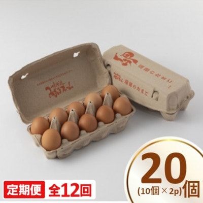 【毎月定期便】瑞穂の赤たまご 20個　卵かけご飯はもちろん、オムレツや卵焼き様々な料理に全12回