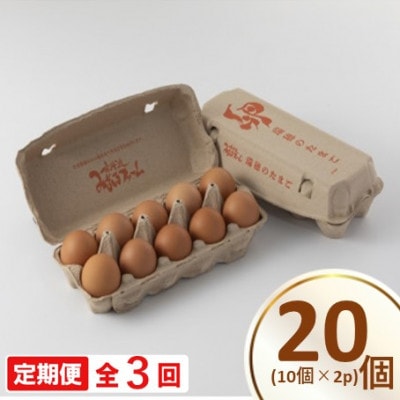 【毎月定期便】瑞穂の赤たまご 20個　卵かけご飯はもちろん、オムレツや卵焼き様々な料理に全3回